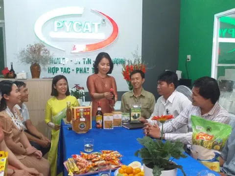 Phát triển tài sản trí tuệ song hành cùng chương trình OCOP