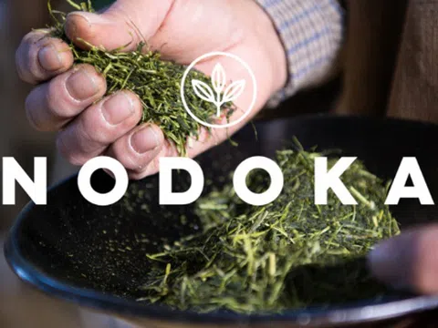 Nhãn hiệu trà xanh NODOKA của Nhật Bản tạo sức hút lớn trên thế giới
