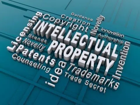 Bài học về vấn đề quản trị tài sản trí tuệ tại doanh nghiệp vừa và nhỏ ở Việt Nam