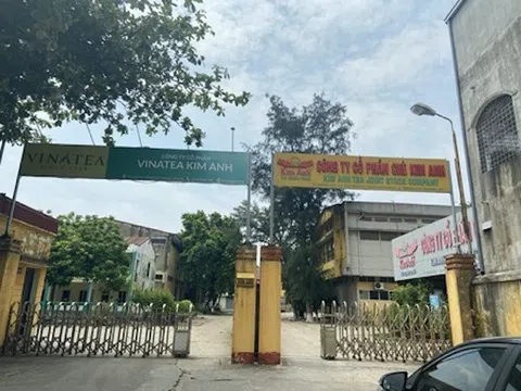 Tổng công ty Chè Việt Nam bị “tố” vi phạm quyền sở hữu trí tuệ thương hiệu chè Kim Anh