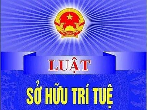 Thực thi quy định mới về nhãn hiệu theo Luật sửa đổi, bổ sung một số điều của Luật Sở hữu trí tuệ năm 2022