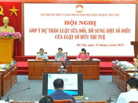 'Phải có Tòa án về Sở hữu trí tuệ'