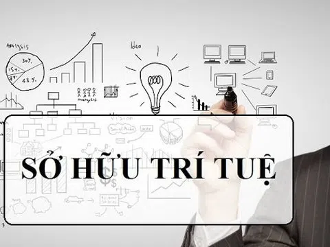 Cục Sở hữu trí tuệ và Cơ quan Sáng chế Nhật Bản gia hạn triển khai chương trình thẩm định nhanh đơn sáng chế đến năm 2025