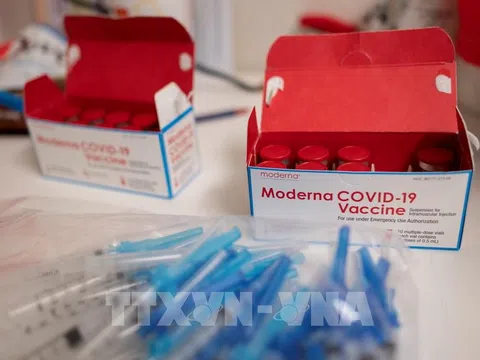 Việt Nam đã phê duyệt 5 vaccine để cấp bách phòng, chống dịch COVID-19