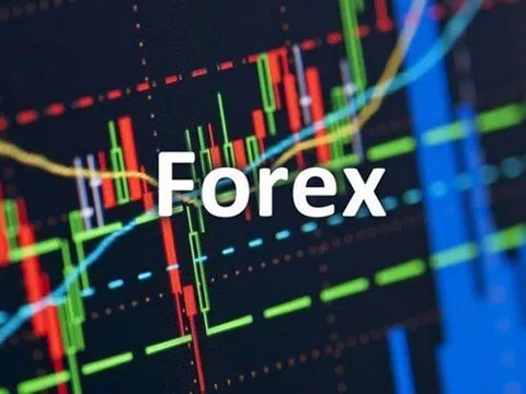 Hệ luỵ từ sàn Forex trái phép : Chuyên gia luật kiến nghị gì ?