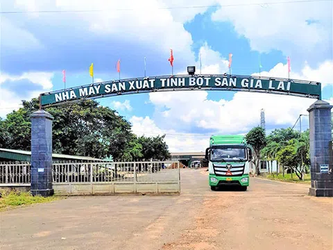 50 tấn tinh bột sắn của Doanh nghiệp Việt Nam vừa được xuất khẩu qua Cảng Chu Lai