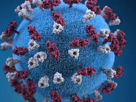 Cảnh báo chủng virus đột biến kép mới xuất hiện ở Ấn Độ, nguy hiểm ngang Delta
