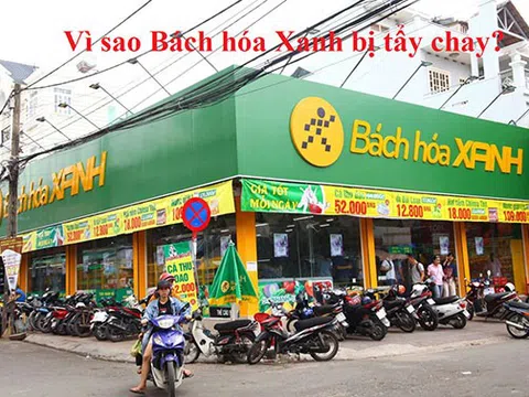 Khủng hoảng truyền thông ảnh hưởng như thế nào đến thương hiệu nhìn từ vụ việc Bách Hóa Xanh