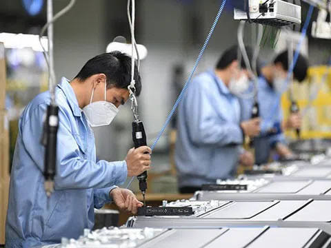 Cần đánh giá hiệu quả của các giải pháp hỗ trợ về thuế