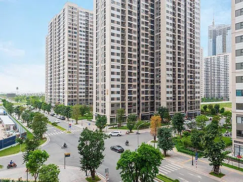 Cầm tiền tỷ khó mua chung cư, thời dịch bệnh mà giá vẫn tăng