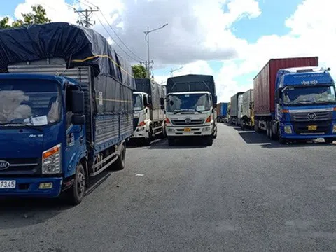 Cần xóa ngay giấy phép con hành doanh nghiệp