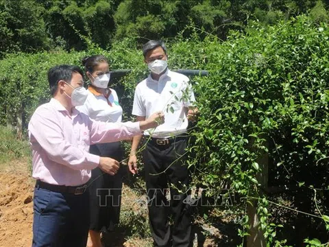 Nghị quyết 68/NQ-CP - "Phao cứu sinh" cho doanh nghiệp và người lao động