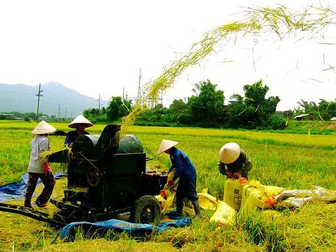 Nguyên tắc phân bổ nguồn vốn NSNN thực hiện Chương trình mục tiêu quốc gia