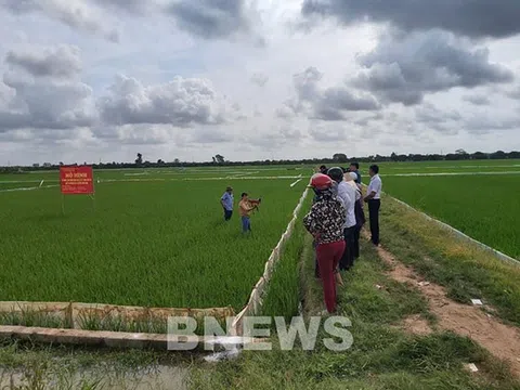 5 thủ tục hành chính về đất đai mới được sửa đổi, bổ sung, thay thế