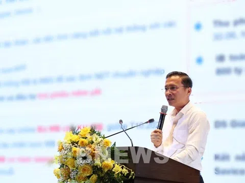 MB dự kiến giải ngân thêm 2.000 tỷ đồng hỗ trợ khách hàng kinh doanh lúa gạo