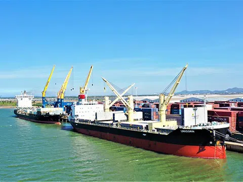 Phát triển xuất khẩu hàng viên nén, cảng Chu Lai đồng hành cùng doanh nghiệp