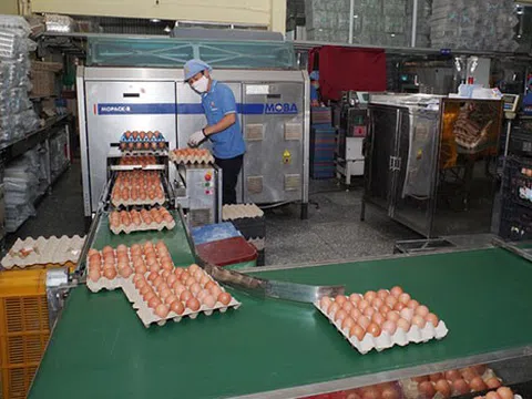 14 hiệp hội kiến nghị các giải pháp "sống chung với dịch Covid-19"