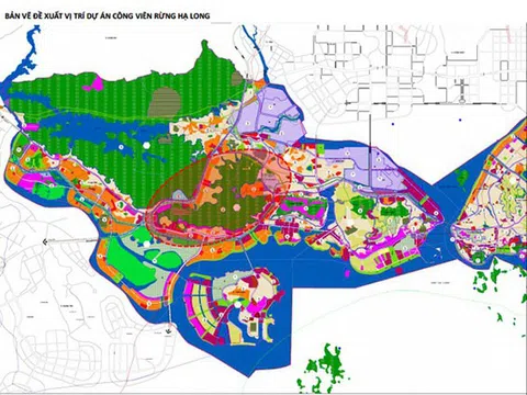 Vingroup muốn làm Công viên rừng Hạ Long quy mô 650ha ngay năm 2022, hoàn thành chỉ trong 1 năm