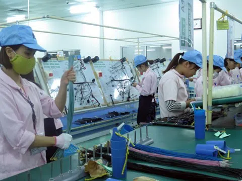 Hướng dẫn người lao động và người sử dụng lao động bị ảnh hưởng bởi đại dịch COVID-19 nhận hỗ trợ từ Quỹ bảo hiểm thất nghiệp