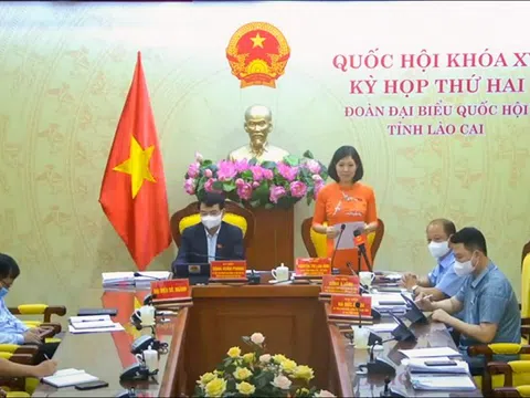 Băn khoăn việc thu hẹp phạm vi xử phạt hành chính trong lĩnh vực sở hữu trí tuệ