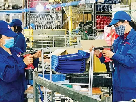 TS Võ Đình Trí: Hỗ trợ nền kinh tế, cần bao nhiêu là đủ?