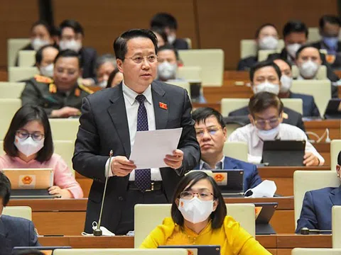 "Không luật hóa sẽ không bảo vệ được người dám nghĩ dám làm mà có thể dẫn đến trù dập, oan sai"