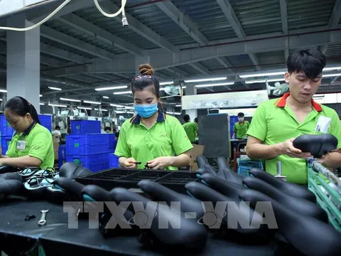 Xây dựng dự thảo hướng dẫn giám sát, đánh giá hoạt động đầu tư nước ngoài tại Việt Nam