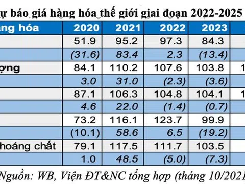 Áp lực lạm phát 2021-2022 và khuyến nghị
