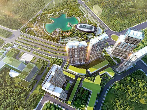 Giải mã lý do dân start-up chuộng căn hộ Dual Key