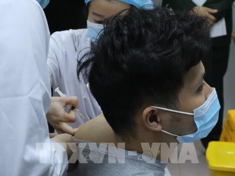 Vaccine Nanocovax đạt yêu cầu về an toàn và tính sinh miễn dịch