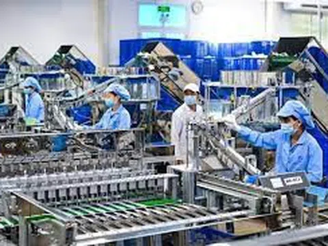 Tổng cục Hải quan hướng dẫn kiểm tra, giám sát và chính sách thuế với doanh nghiệp chế xuất