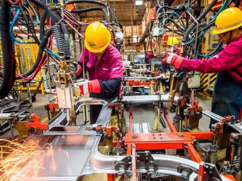 Mô hình chính sách để phục hồi kinh tế khi xác định sống chung với đại dịch Covid-19