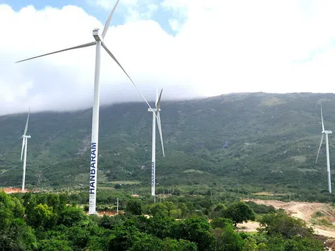 Điêu đứng vì Covid-19: Nhà đầu tư điện gió muốn được gia hạn giá FIT
