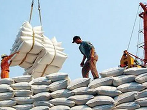 Sửa quy định về chứng nhận chủng loại gạo thơm xuất khẩu sang Liên minh châu Âu