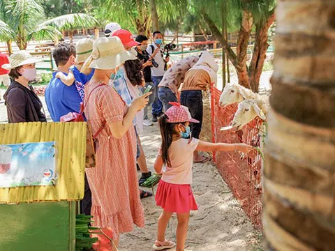 Bình Định đón hơn 155 ngàn lượt khách dịp Tết, tăng 40% so với cùng kỳ