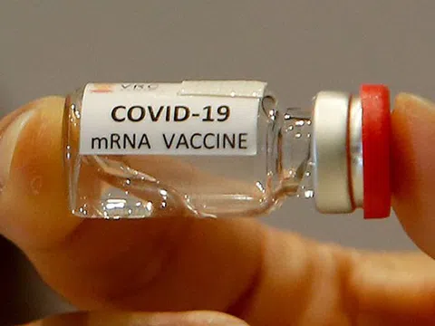 Tổng giám đốc WHO ủng hộ miễn trừ quyền sở hữu trí tuệ vaccine Covid-19