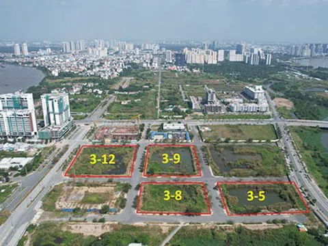 Trúng đấu giá rồi bỏ cọc - Hành vi bất khả hay chủ ý từ trước?