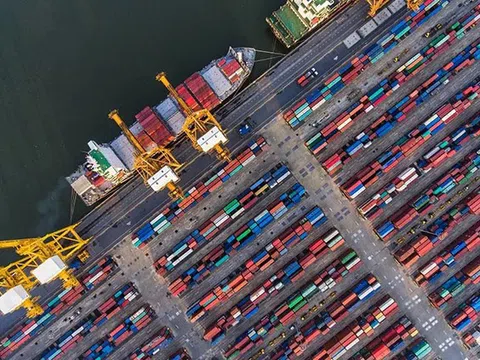 Dấu hiệu lừa đảo gần 100 container nhân điều xuất sang Italy