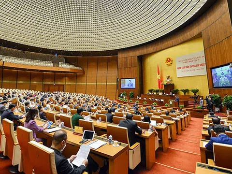 Có cơ sở pháp luật để xử lý sai phạm trong đấu giá đất