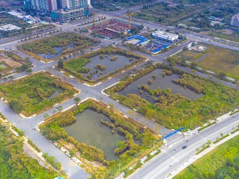 Lũng loạn đấu giá đất, Đại biểu băn khoăn có nên hình sự hóa