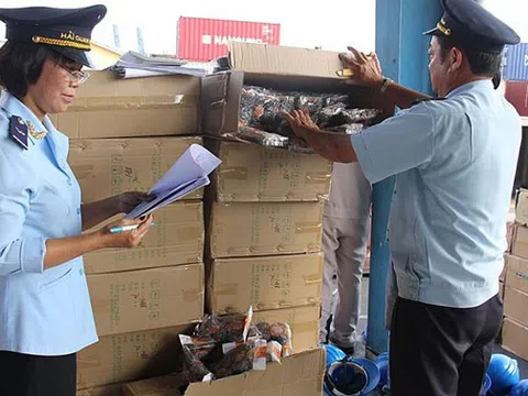 Tổng cục Hải quan bắt giữ và xử lý 2.733 vụ vi phạm pháp luật