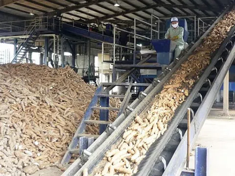 Tổng cục Thuế thông tin về công tác đấu tranh với các hành vi vi phạm trong hoàn thuế GTGT