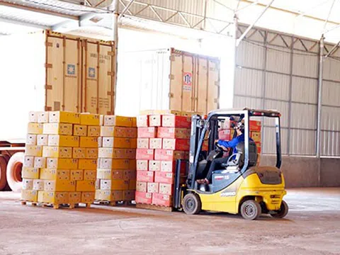 Giải pháp logistics qua cửa khẩu quốc tế Nam Giang cho doanh nghiệp Việt, Lào