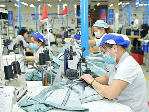 Xây dựng Nghị quyết về nâng cao hiệu quả hoạt động của doanh nghiệp nhà nước