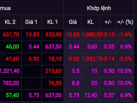 Cổ phiếu giao dịch đột biến: FLC đề nghị điều tra bất thường