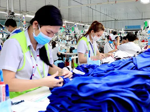 Điều tra doanh nghiệp năm 2022 phục vụ công tác quản lý, điều hành, đánh giá và dự báo