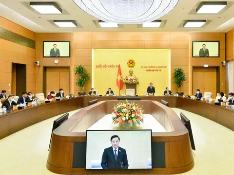 Cần phân định rõ trách nhiệm giữa Thủ trưởng cơ quan quản lý Nhà nước và cơ quan thanh tra