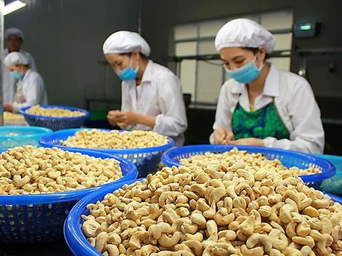 Bộ Công Thương có trách nhiệm nghiên cứu phản ánh về rủi ro lừa đảo trong xuất khẩu nông sản