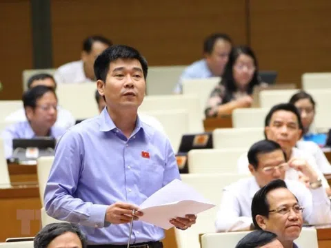 Đại biểu Quốc hội: Thiếu thông tin quy hoạch gây 'sốt' đất ảo, đầu cơ