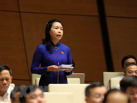 Cần rà soát các quy định pháp luật về chứng khoán và việc phát hành cổ phiếu doanh nghiệp